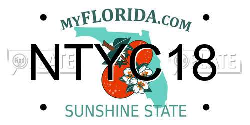 NTYC18 Florida License Plate