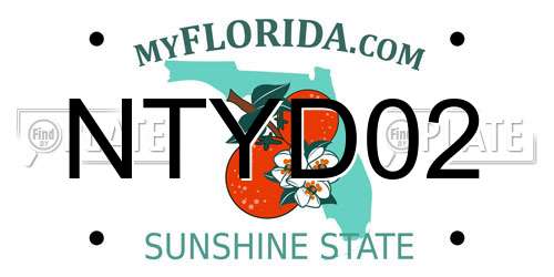 NTYD02 Florida License Plate