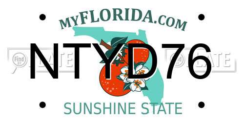 NTYD76 Florida License Plate