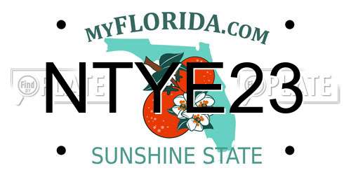 NTYE23 Florida License Plate