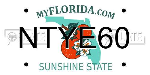 NTYE60 Florida License Plate