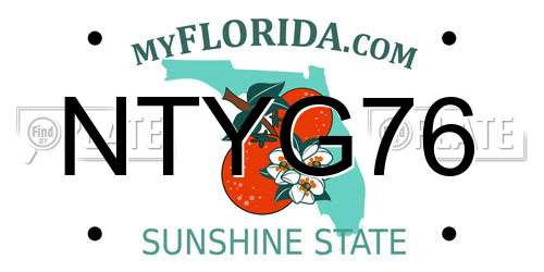 NTYG76 Florida License Plate