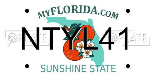 NTYL41 Florida License Plate