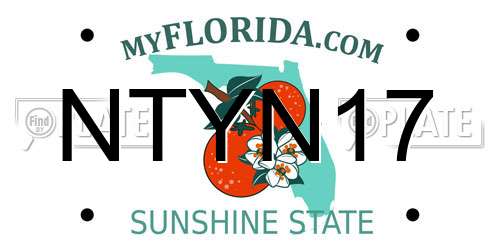 NTYN17 Florida License Plate
