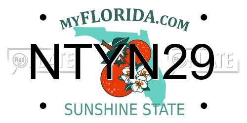 NTYN29 Florida License Plate