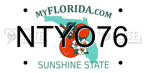 NTYO76 Florida License Plate