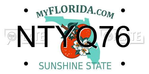 NTYQ76 Florida License Plate