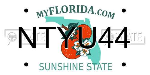 NTYU44 Florida License Plate