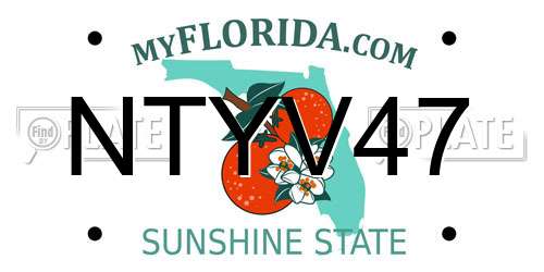 NTYV47 Florida License Plate