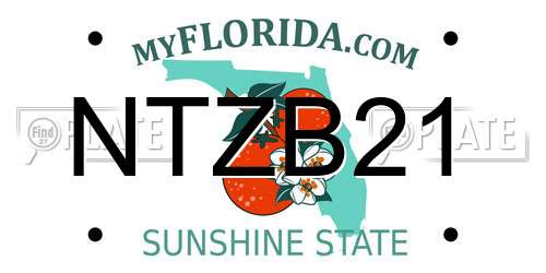 NTZB21 Florida License Plate