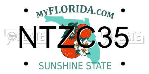 NTZC35 Florida License Plate