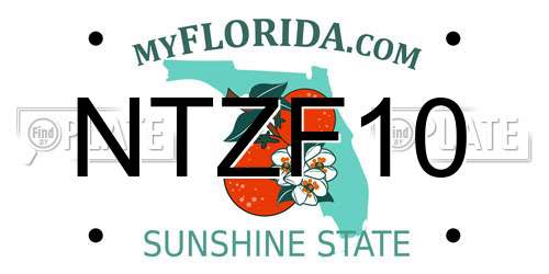 NTZF10 Florida License Plate