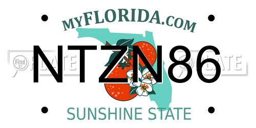 NTZN86 Florida License Plate