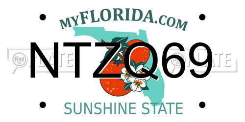 NTZQ69 Florida License Plate