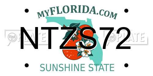 NTZS72 Florida License Plate