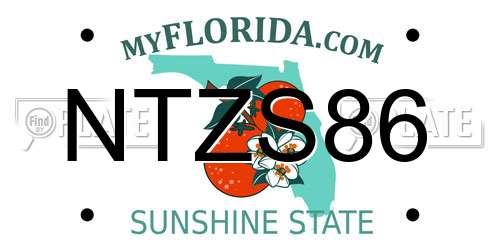 NTZS86 Florida License Plate