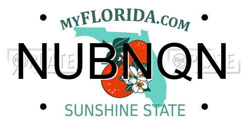 NUBNQN Florida License Plate
