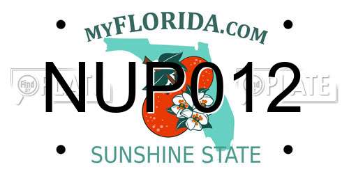 NUP012 Florida License Plate