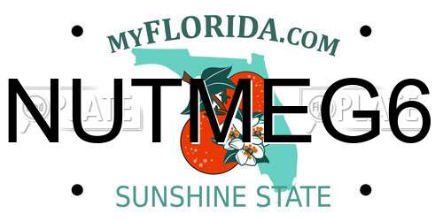 NUTMEG6 Florida License Plate