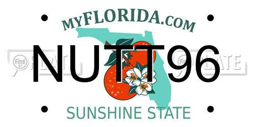 NUTT96 Florida License Plate