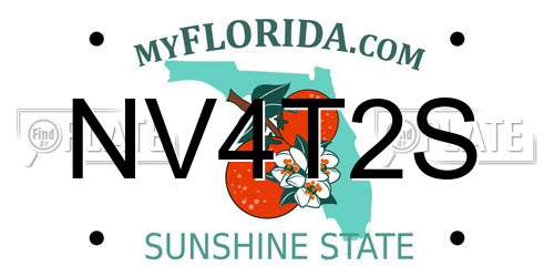 NV4T2S Florida License Plate