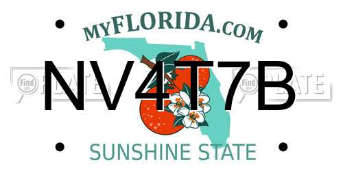 NV4T7B Florida License Plate