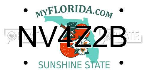 NV4Z2B Florida License Plate