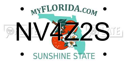 NV4Z2S Florida License Plate