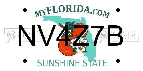 NV4Z7B Florida License Plate