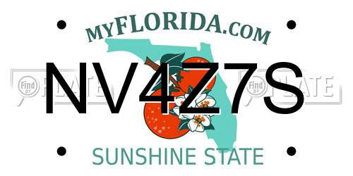 NV4Z7S Florida License Plate