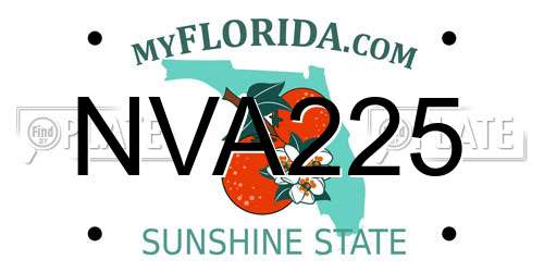 NVA225 Florida License Plate