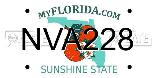 NVA228 Florida License Plate