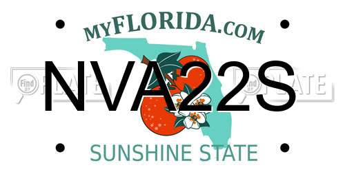NVA22S Florida License Plate