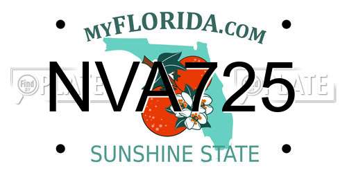 NVA725 Florida License Plate