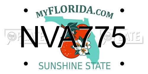 NVA775 Florida License Plate