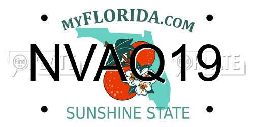 NVAQ19 Florida License Plate