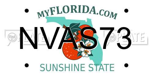 NVAS73 Florida License Plate