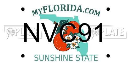 NVC91 Florida License Plate