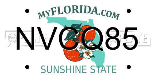 NVCQ85 Florida License Plate