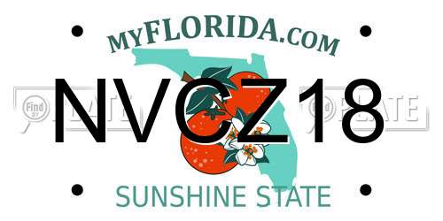 NVCZ18 Florida License Plate