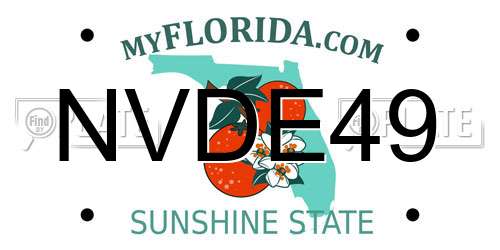 NVDE49 Florida License Plate