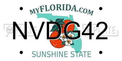 NVDG42 Florida License Plate