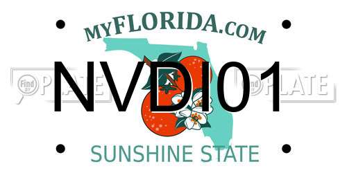 NVDI01 Florida License Plate