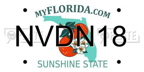 NVDN18 Florida License Plate