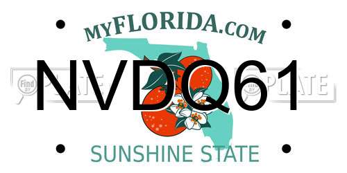 NVDQ61 Florida License Plate