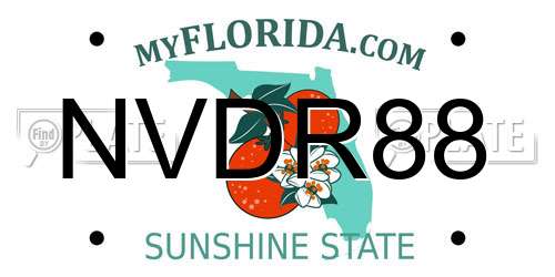 NVDR88 Florida License Plate