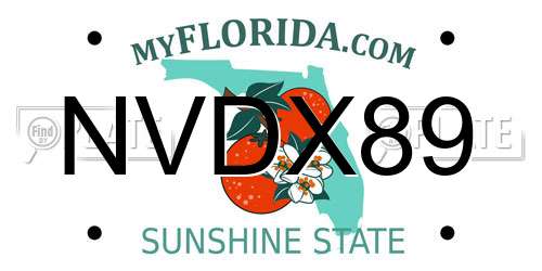 NVDX89 Florida License Plate