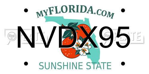 NVDX95 Florida License Plate