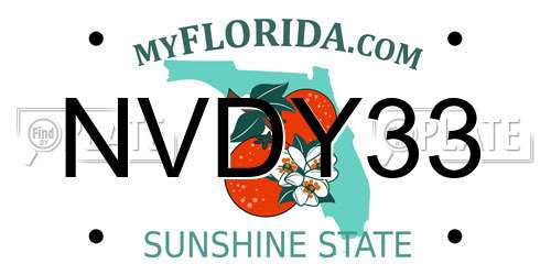 NVDY33 Florida License Plate