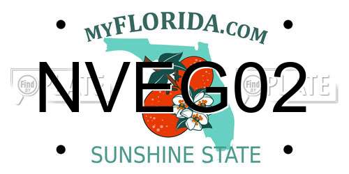 NVEG02 Florida License Plate